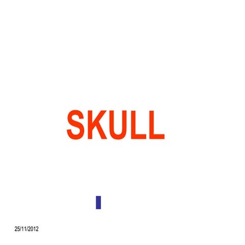 Anatomy of the Skull