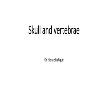 Skull.pptx