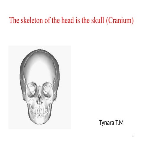 Human Body SKULL.pptx with deep introduc | PPTX