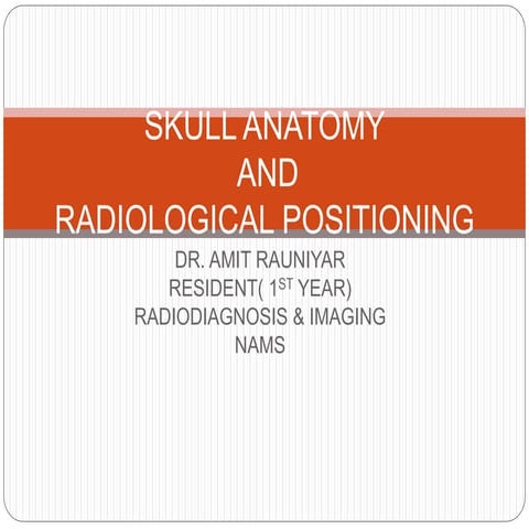 Skull anatomy and positioning