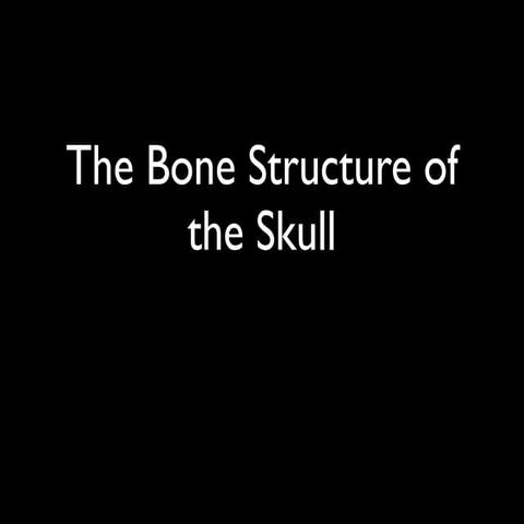 Skull bones