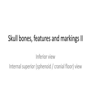 Skull bones, features and markings II