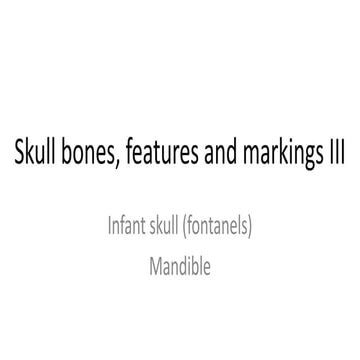 Skull bones, features and markings 3
