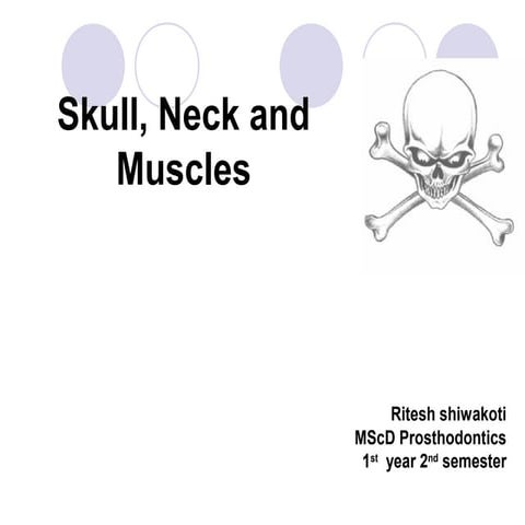 Skull, neck and muscle