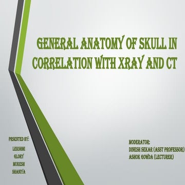 SKULL_PPT.pptx SKULL_PPT.pptx SKULL_PPT.pptx