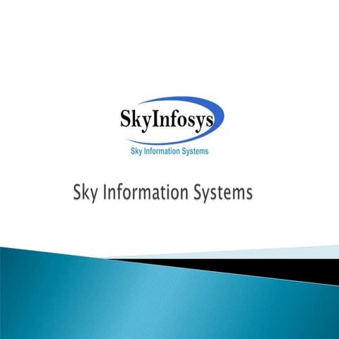 Sky information systems company profile (2011) - linkedin
