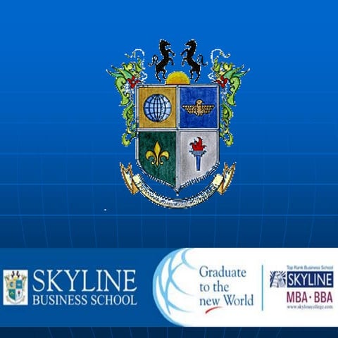 Skyline business school