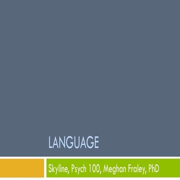 Skyline Language