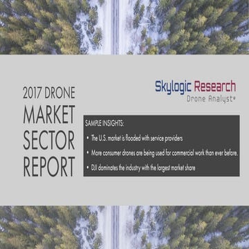 2017 Drone Market Sector Report