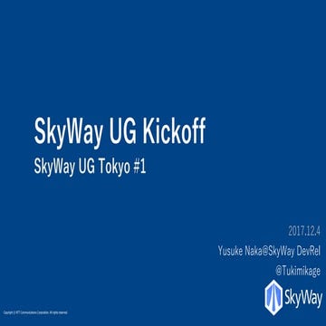 SkyWay UG Tokyo #1 Kickoff