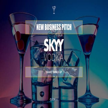 Skyy vodka infographic