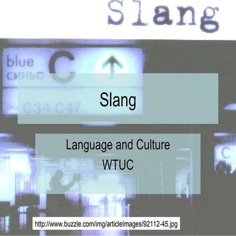 Slang