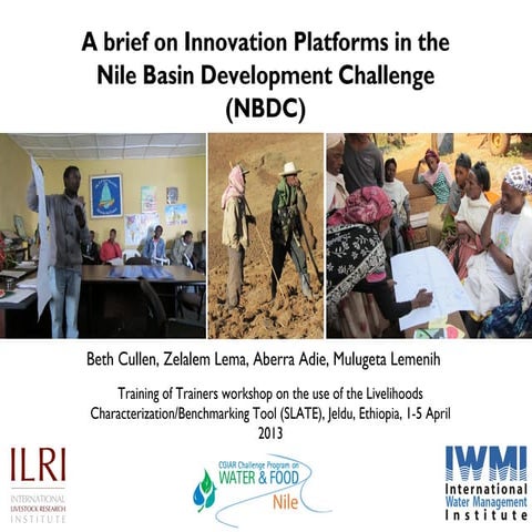 A brief on Innovation Platforms in the Nile Basin Development Challenge (NBDC)
