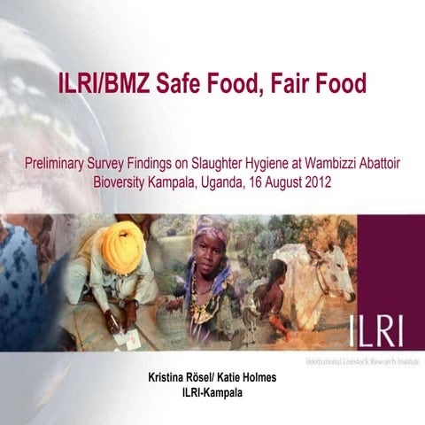  ILRI/BMZ safe food, fair food