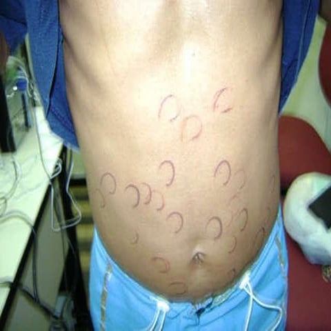 Brazilian Pact for the Eradication of Slave Labor. Modern day slavery in char...