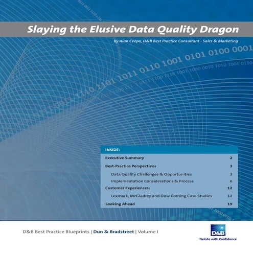 Slaying the elusive data quality dragon 