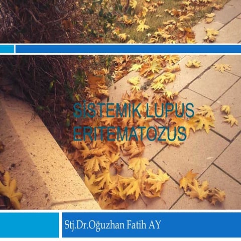 Sistemik Lupus Eritematozus SLE