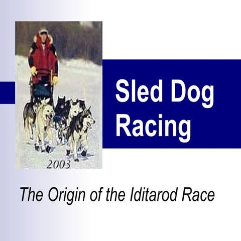 Sled Dog Racing Origin