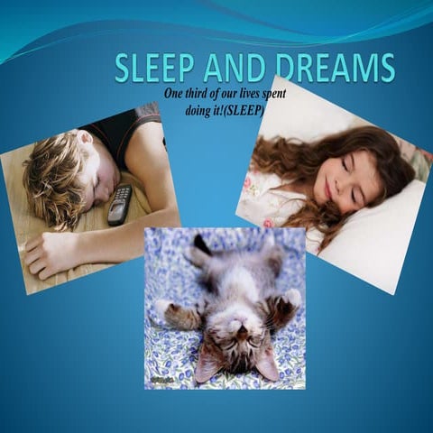 Sleep and dream 