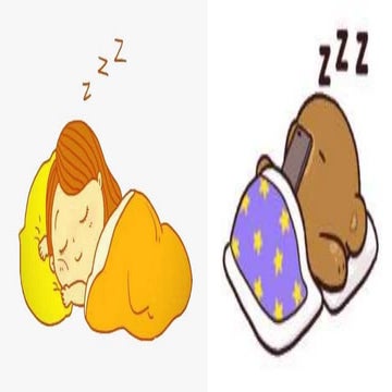 Sleep pattern and its disturbances