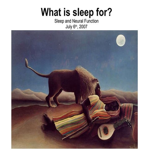 Sleep And Neural Function 7.6.07