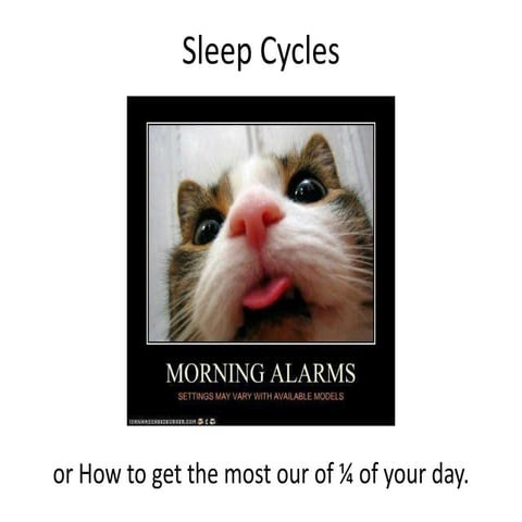 Sleep cycles