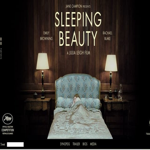 Sleeping Beauty Website Analysis