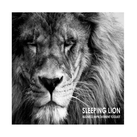 Sleeping Lion Business Improvement Toolkit 2017 