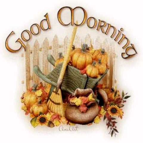 Sleep pattern and its disturbances 