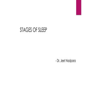 Sleep stages