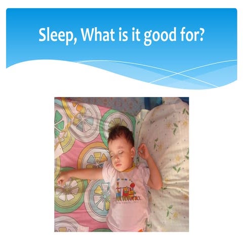 Sleep, what is it good for