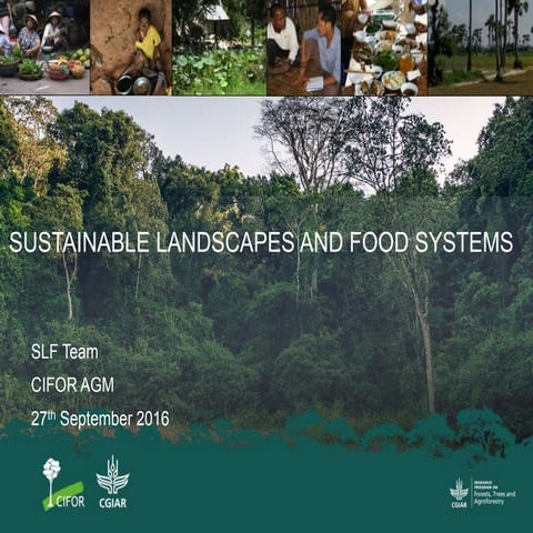 Sustainable landscapes and food systems