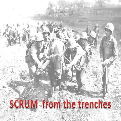 Scrum для практиков