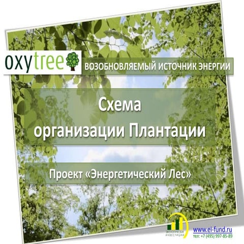 Возобновляемые источники энергии