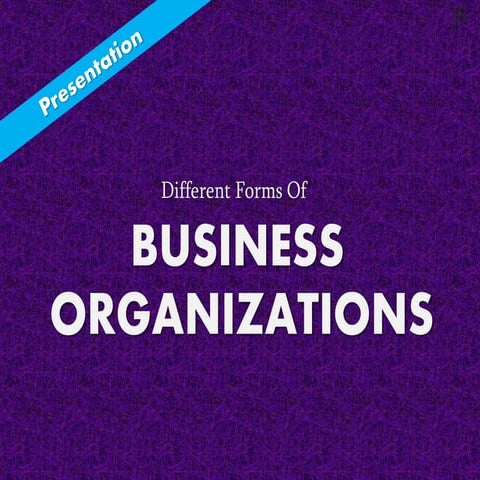 Different Forms of Business Organisations