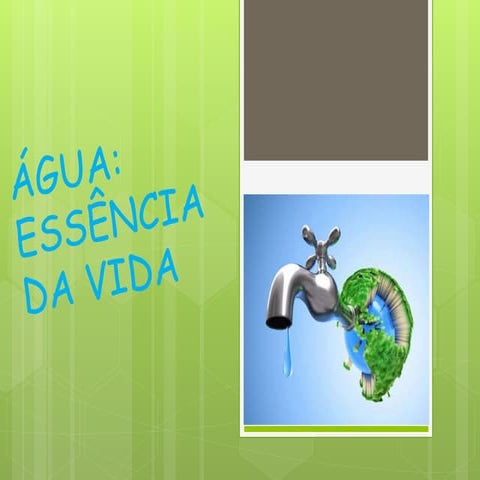 importancia da agua