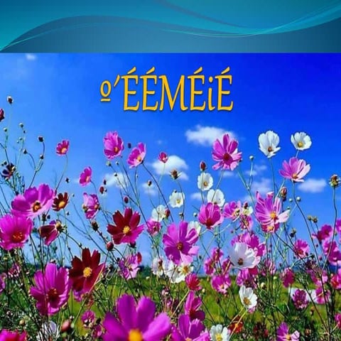 POWERPOINT PRESENTATION