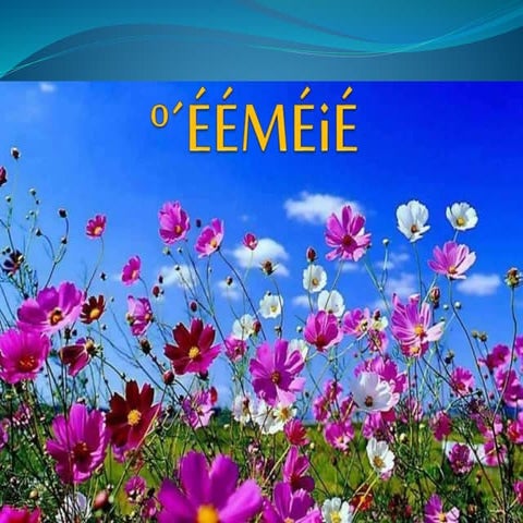 POWERPOINT PRESENTATION