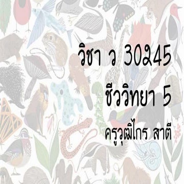 ความหลากหลายทางชีวภาพ slide biology diversity