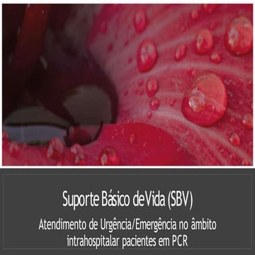 slide-sbv.pptx
