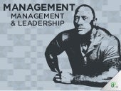 IQ Management - Management and Lead...