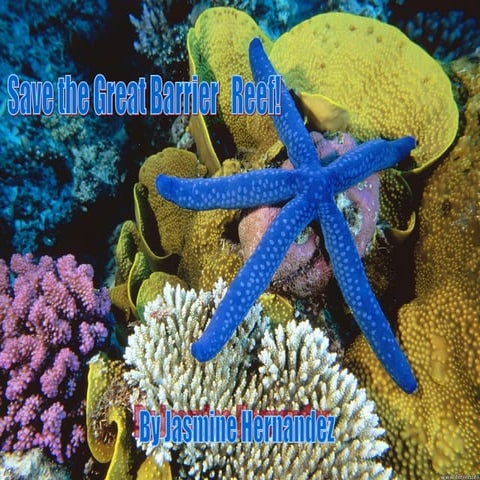 The Great Barrier reef!