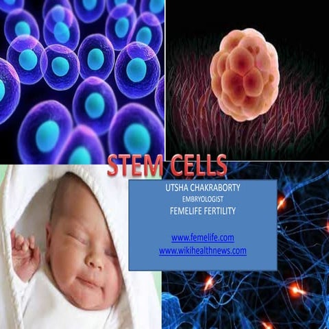  Embryonic  stem cells