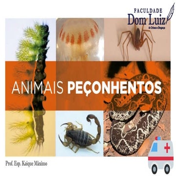 SLIDE ANIMAIS PEÇONHENTOS DE AULA EX.pptx