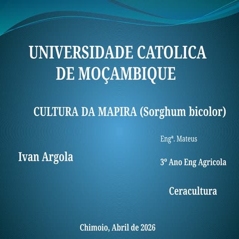 Slide de cultura da mapira ceracultura2.pptx