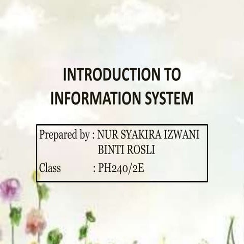 Introduction to Information System | PPTX