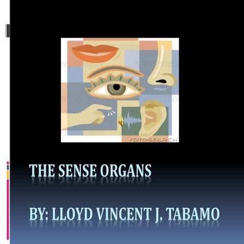 Care For The Sense Organs | PPS