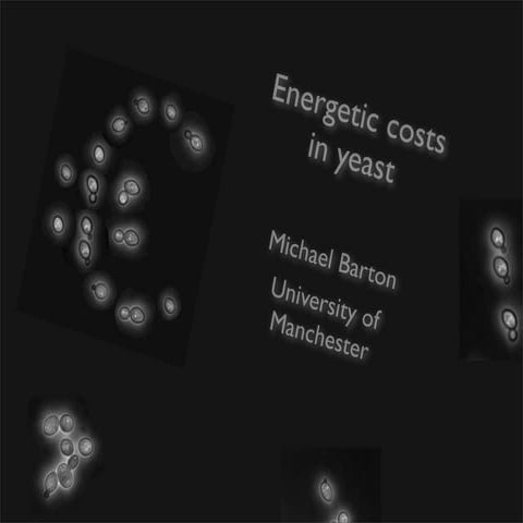 The role of cost in yeast gene expression