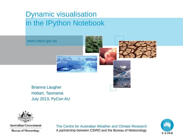 Dynamic viz in the IPython Notebook