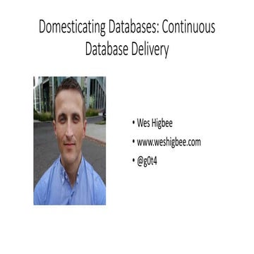 Continuous Database Delivery